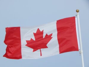 Canadian Flag Maple